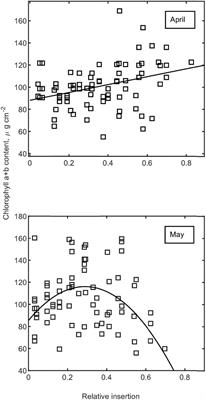 A Photosynthetic Light Acclimation Model Accounting for the Effects of Leaf Age, Chlorophyll Content, and Intra-Leaf Radiation Transfer